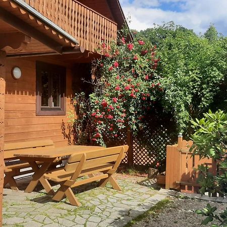Villa Chata Gorska Sowa Dla 12 Osob, 4 Sypialnie,Salon Z Kominkiem à Podgórzyn Extérieur photo