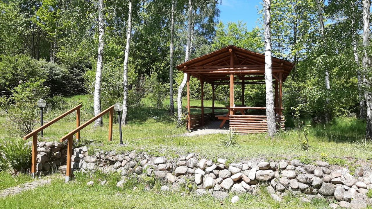 Villa Chata Gorska Sowa Dla 12 Osob, 4 Sypialnie,Salon Z Kominkiem à Podgórzyn Extérieur photo