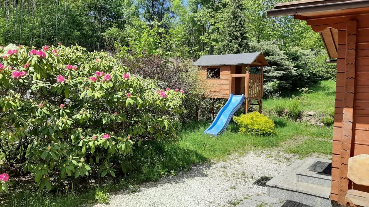 Villa Chata Gorska Sowa Dla 12 Osob, 4 Sypialnie,Salon Z Kominkiem à Podgórzyn Extérieur photo