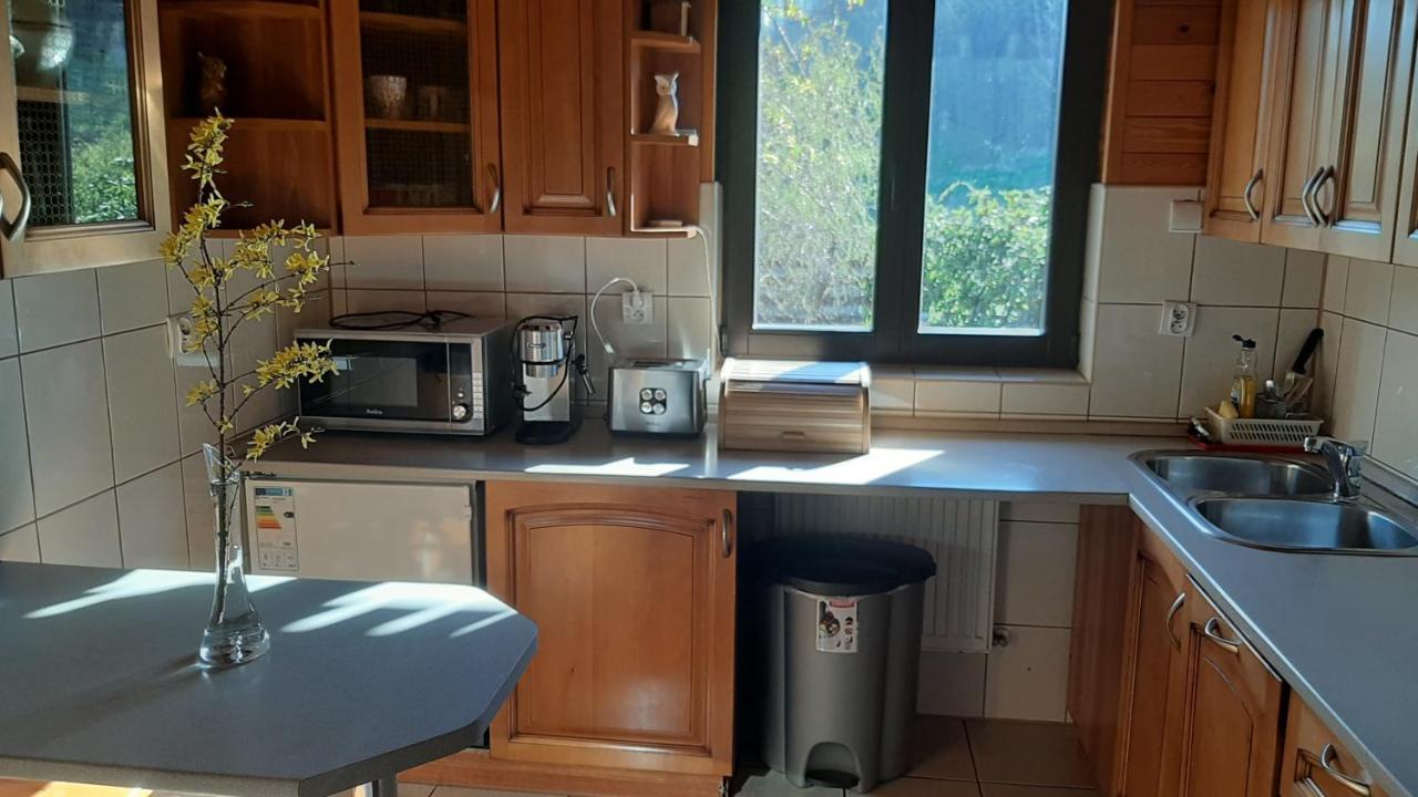 Villa Chata Gorska Sowa Dla 12 Osob, 4 Sypialnie,Salon Z Kominkiem à Podgórzyn Extérieur photo