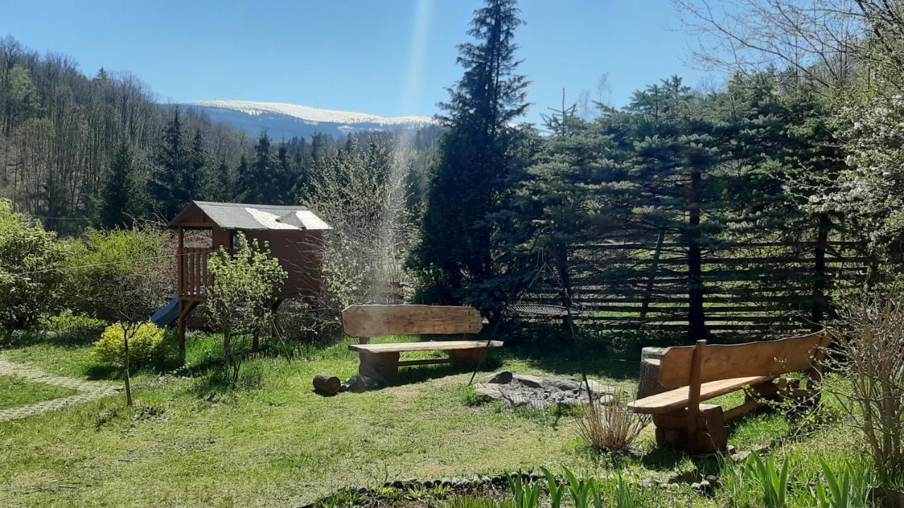 Villa Chata Gorska Sowa Dla 12 Osob, 4 Sypialnie,Salon Z Kominkiem à Podgórzyn Extérieur photo