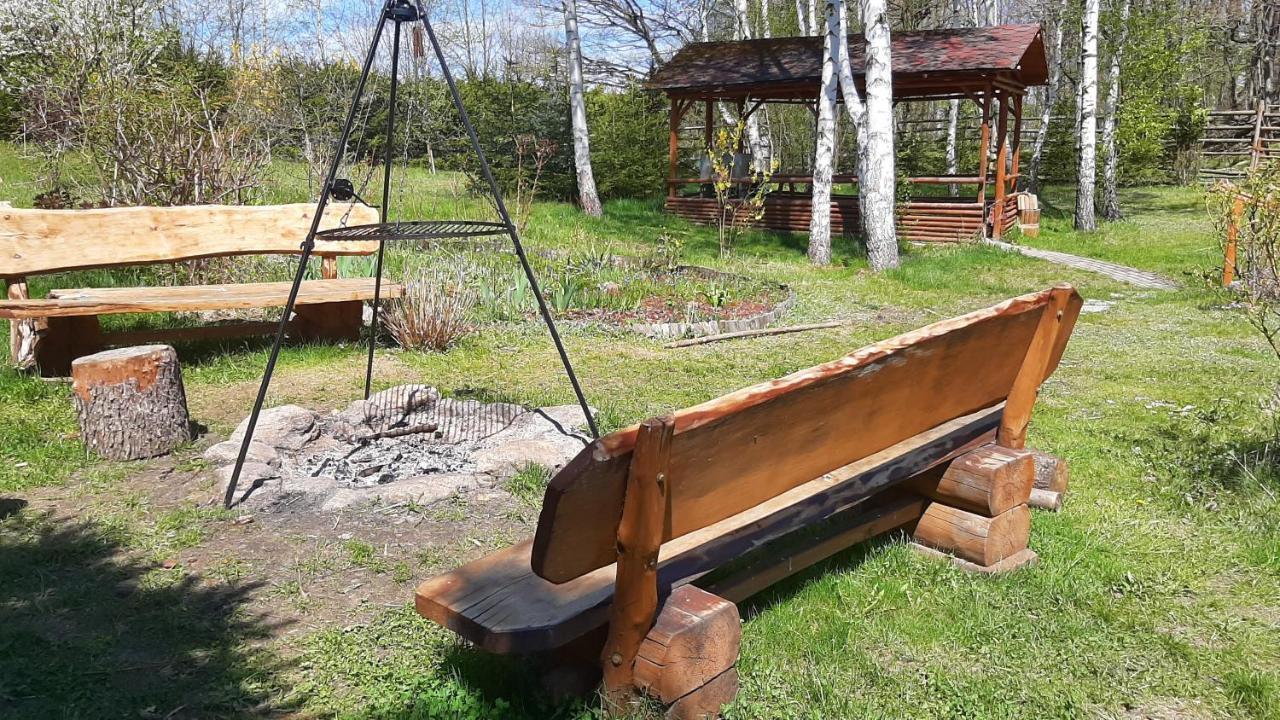 Villa Chata Gorska Sowa Dla 12 Osob, 4 Sypialnie,Salon Z Kominkiem à Podgórzyn Extérieur photo