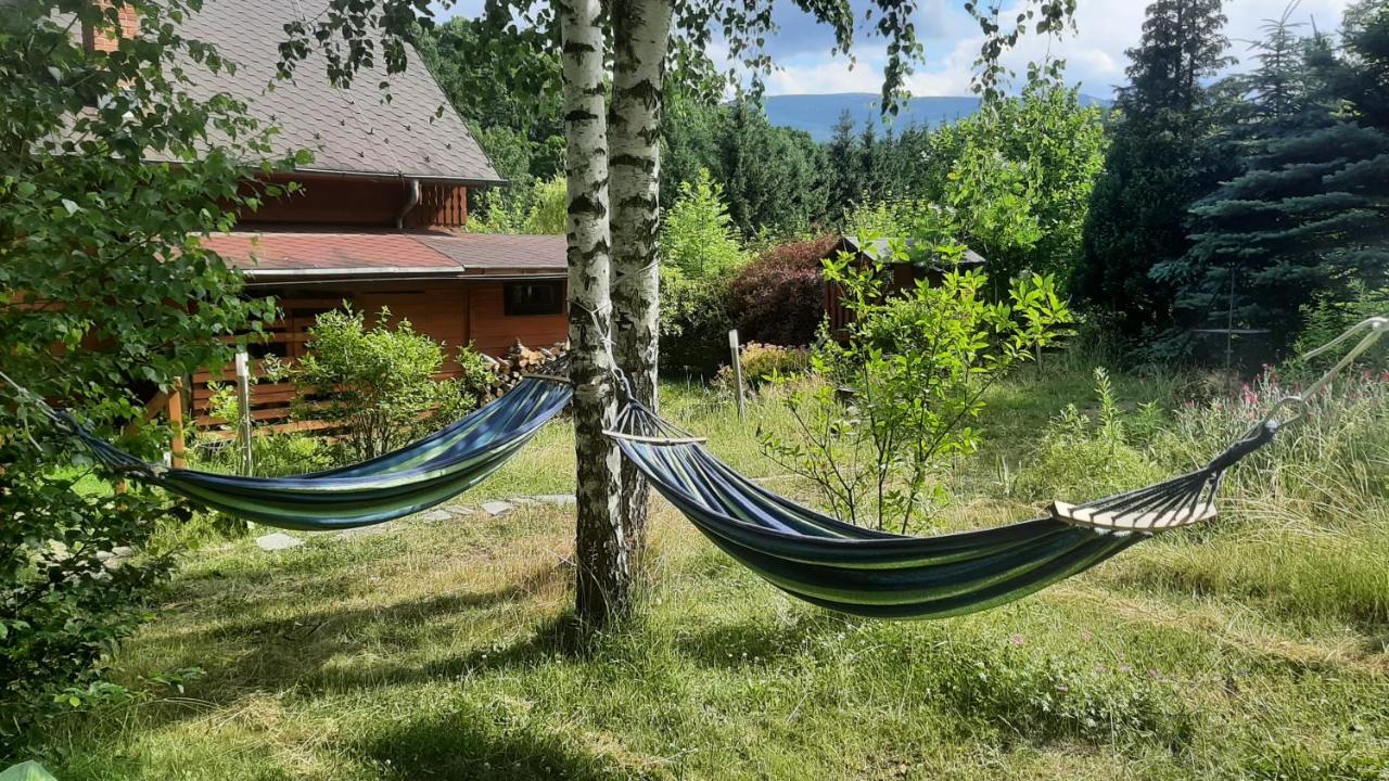 Villa Chata Gorska Sowa Dla 12 Osob, 4 Sypialnie,Salon Z Kominkiem à Podgórzyn Extérieur photo
